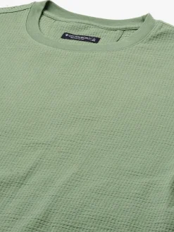 Cottonworld Regular Fit | Basic^Men's Cotton Elastane Regular Fit Tshirt