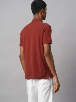 Cottonworld Regular Fit | Polo^Men's 100% Cotton Regular Fit Tshirt